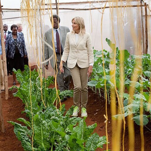 Institut de Recherche Agro-Sahélienne