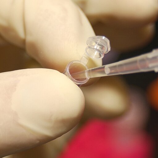 Laboratoire de Biologie Moléculaire et Génétique