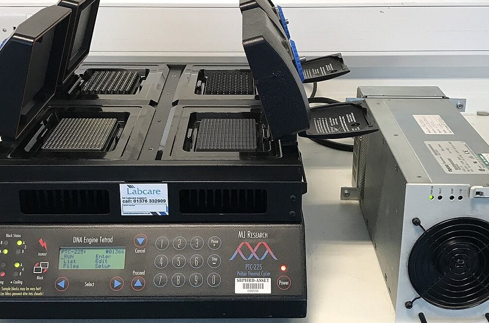 Stage en diagnostic moléculaire (QPCR)